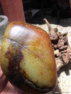 雪绒花又一块公斤级别的新疆和田玉原石籽料重器
